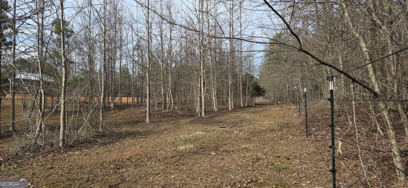 521 Hope Drive Comer - 42