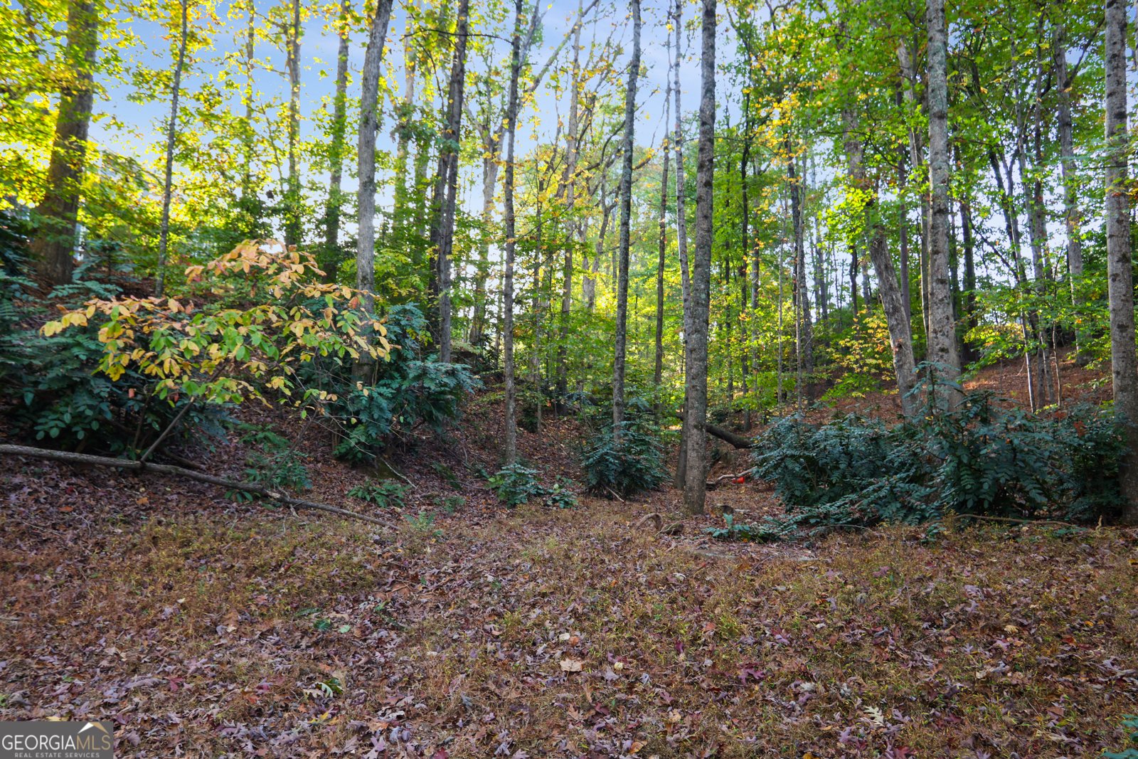 1421 Eryn Circle Suwanee - 48