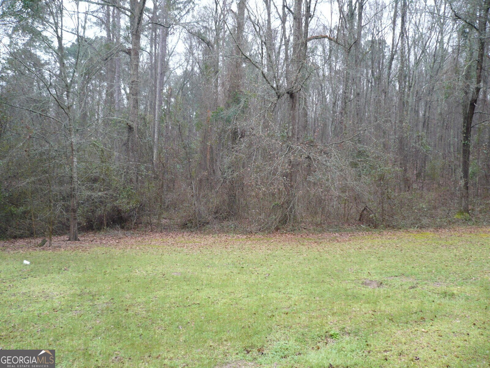 2601 Willow Lake Road Fort Valley - 13