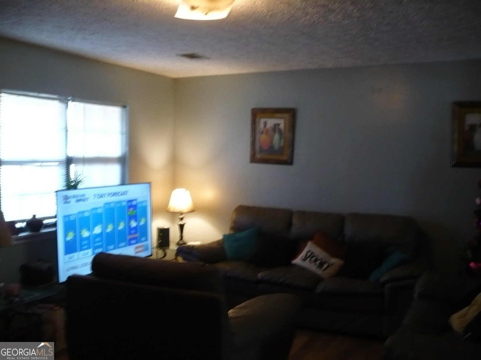 2601 Willow Lake Road Fort Valley - 2