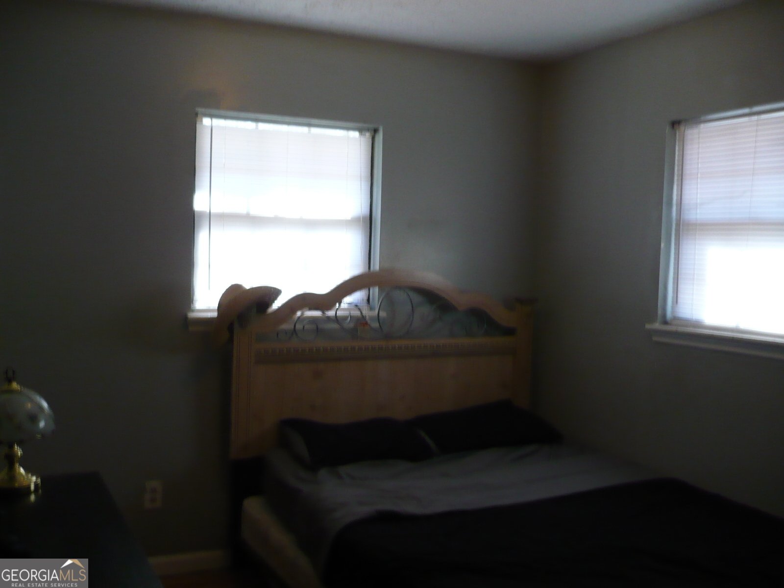 2601 Willow Lake Road Fort Valley - 9