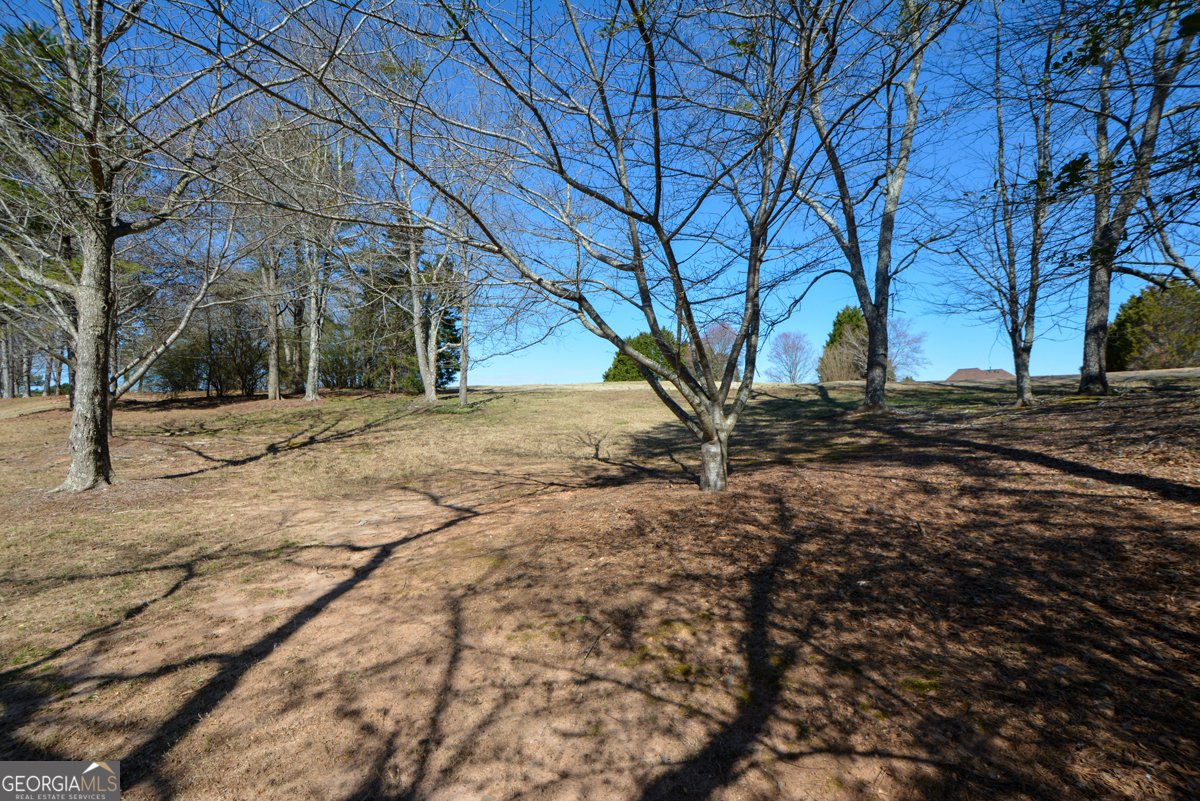 6026 Southland Drive Stone Mountain - 88