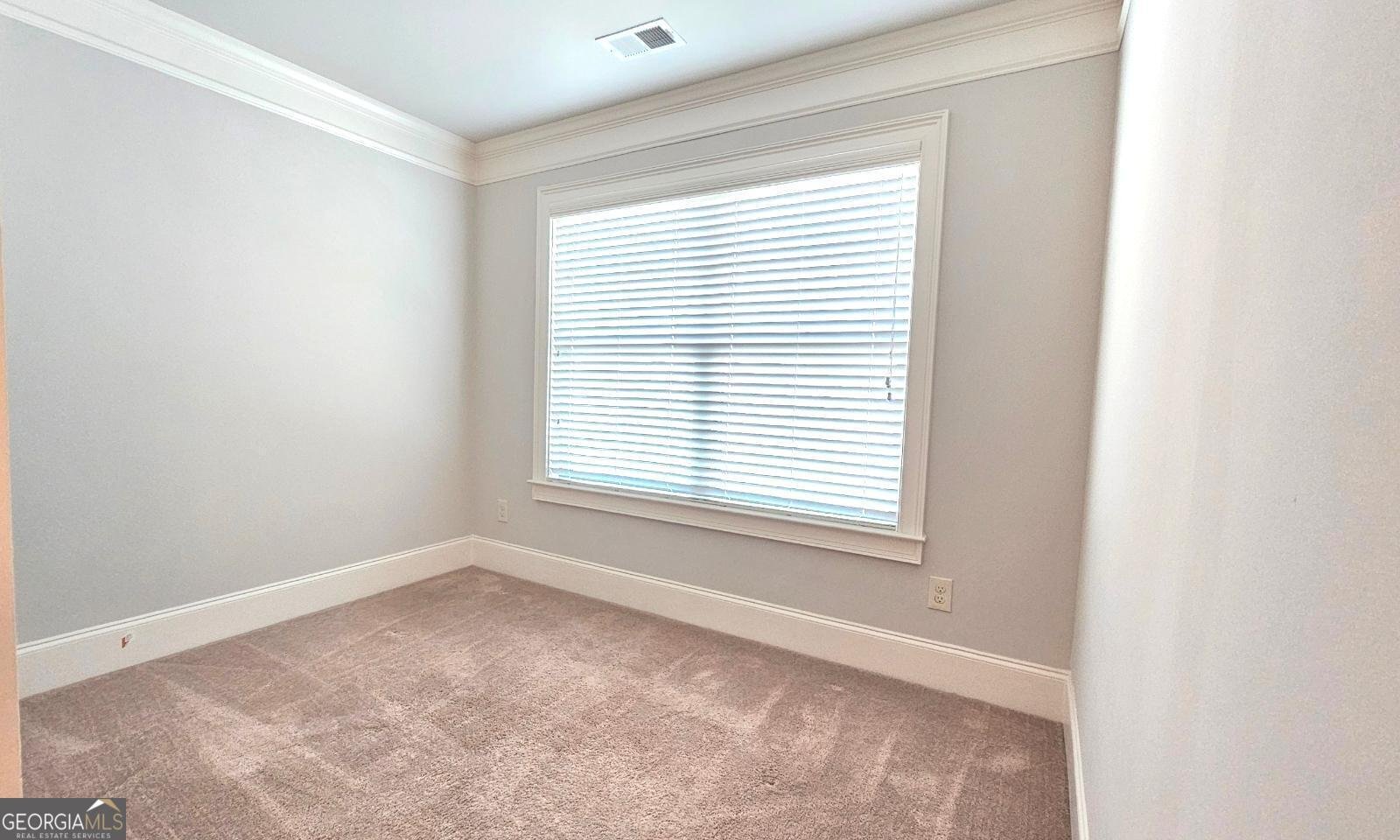207 Birchwood Drive Loganville - 25