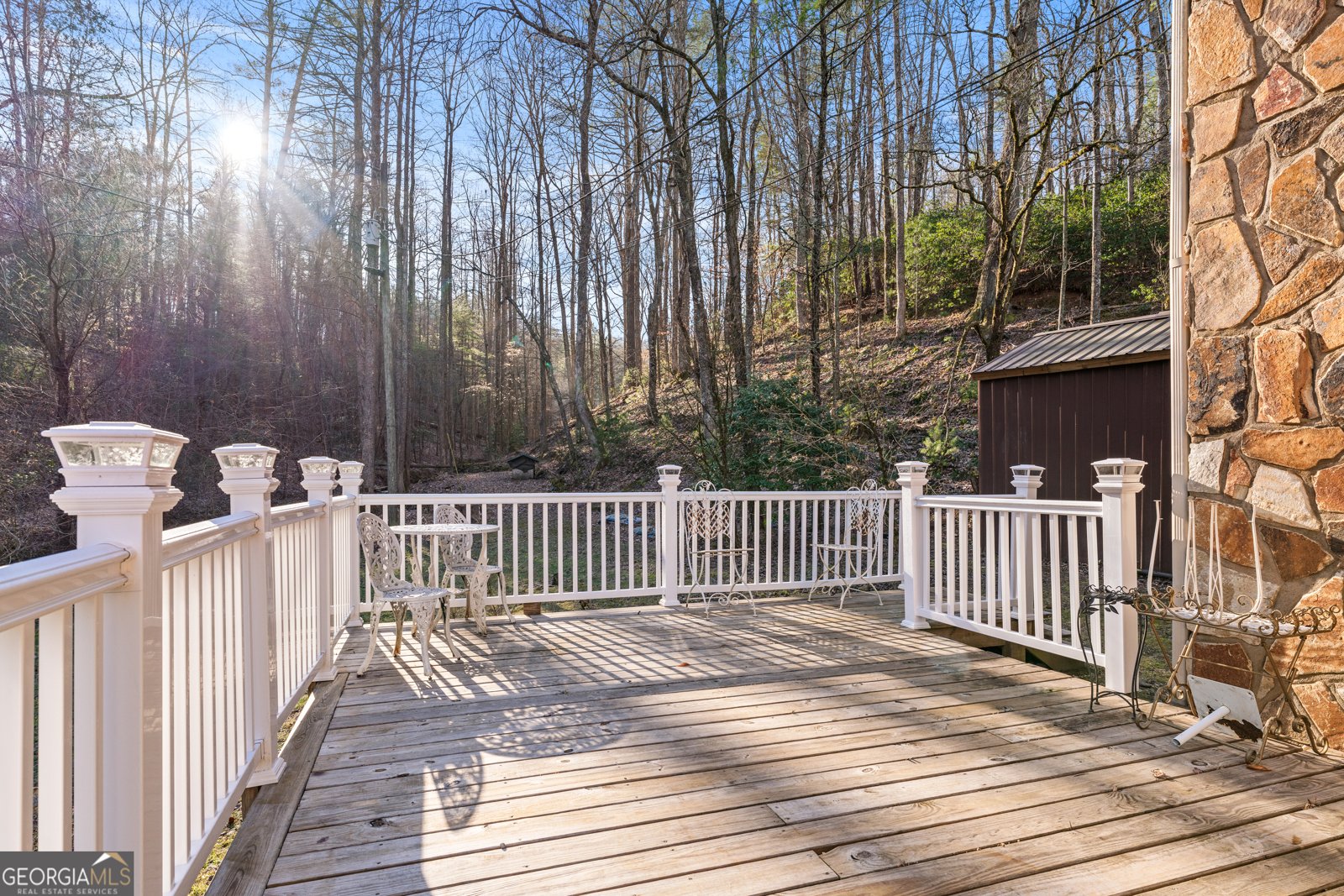 3360 Turniptown Road Ellijay - 19