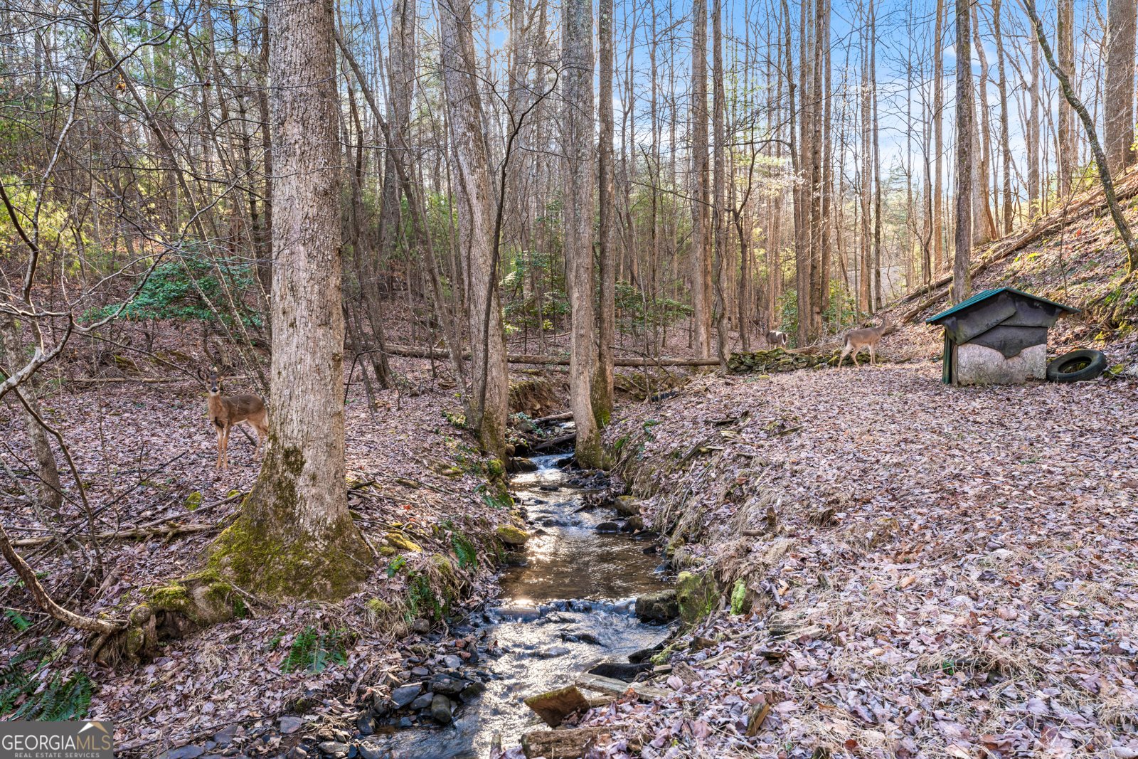 3360 Turniptown Road Ellijay - 22