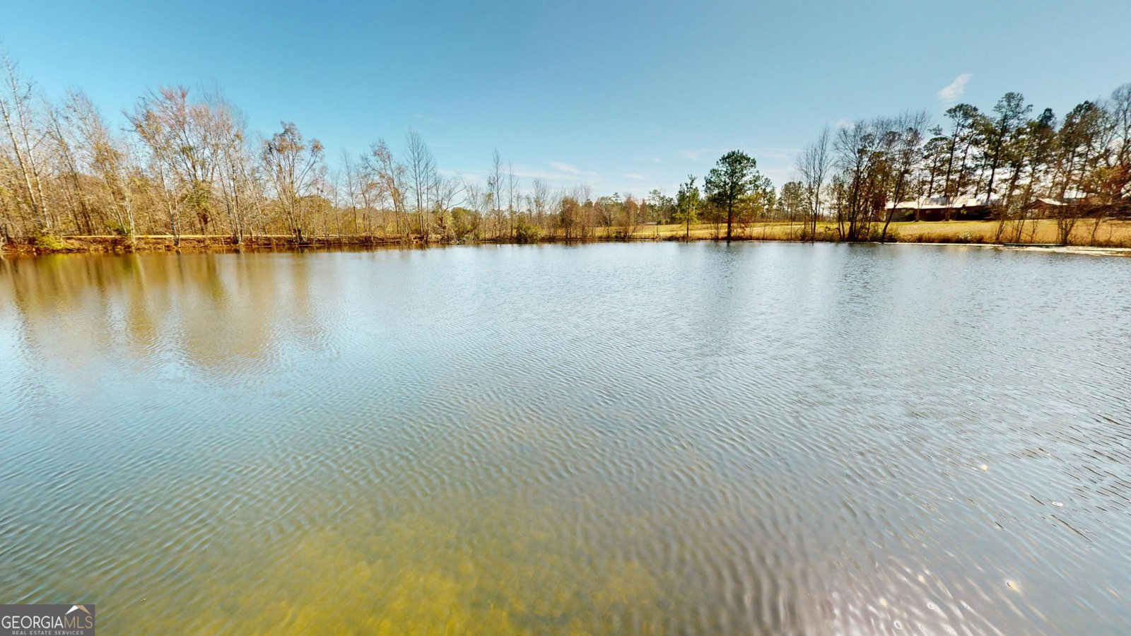 184 Eagle Pass Swainsboro - 46