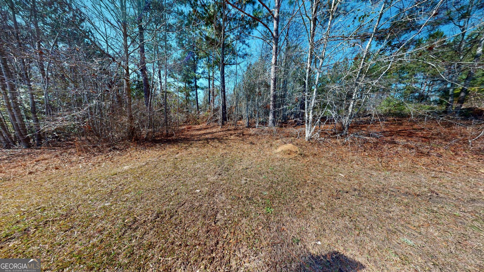 184 Eagle Pass Swainsboro - 48