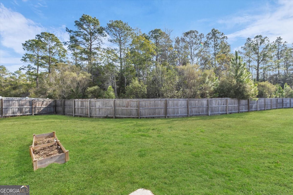 732 Waterlily Court Hinesville - 60