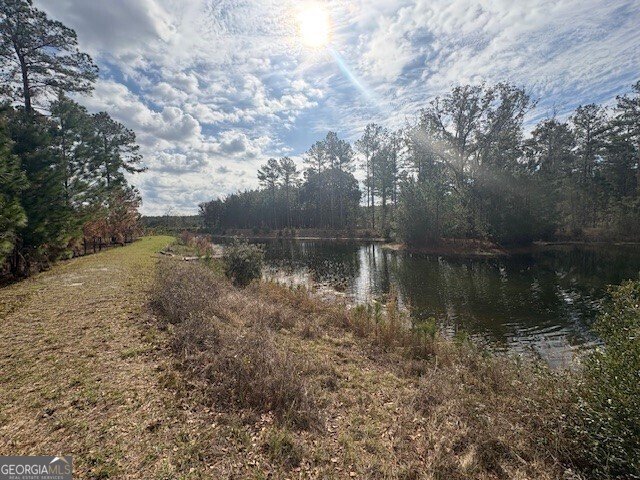 213 Park View Lane Kingsland - 52