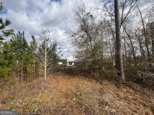 213 Park View Lane Kingsland - 53