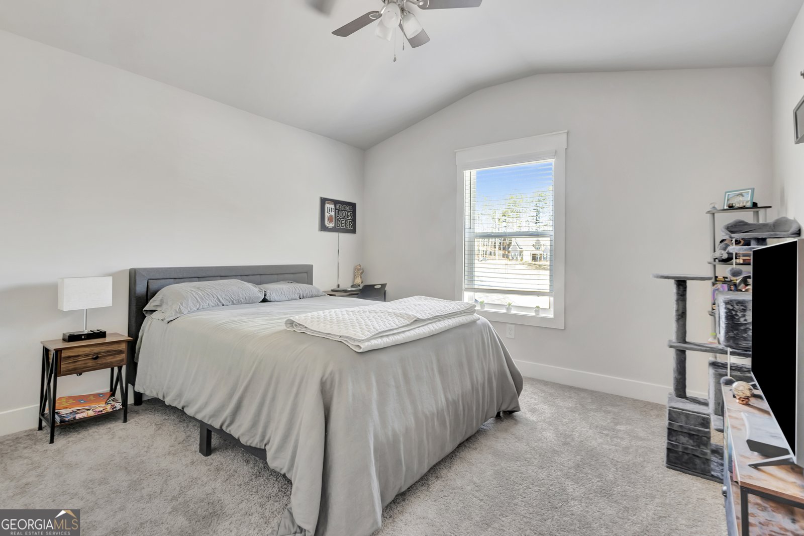 158 Saddleridge Trail Senoia - 45