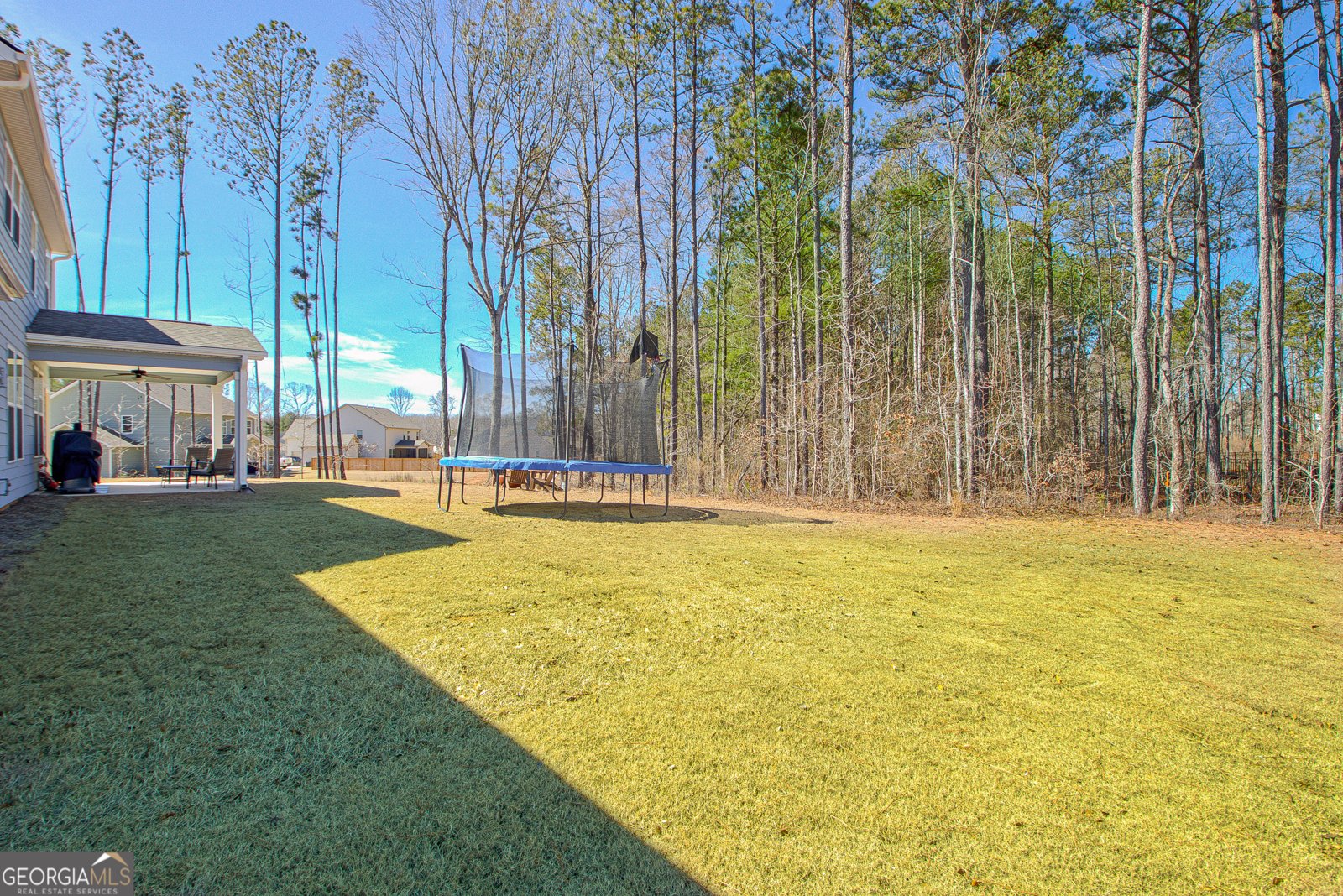 158 Saddleridge Trail Senoia - 49