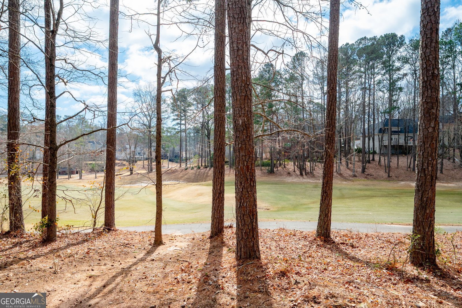 5485 Brookstone Drive Acworth - 38