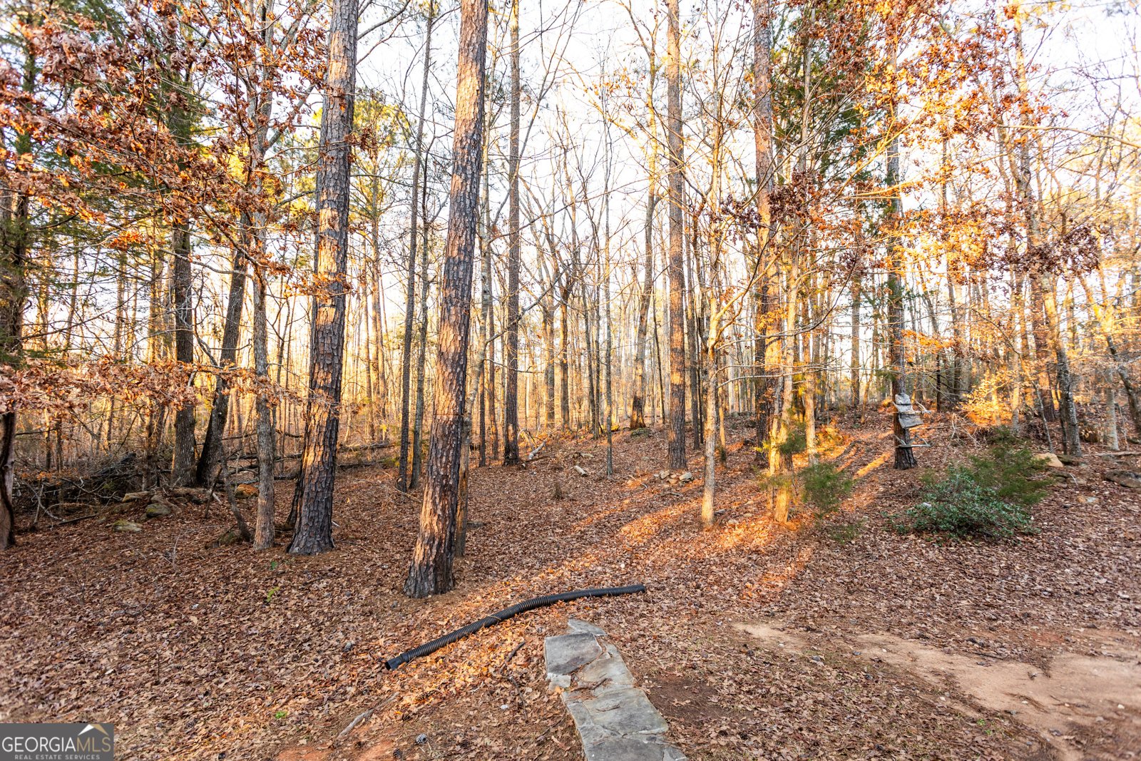 312 Henderson Mill Road Mansfield - 32