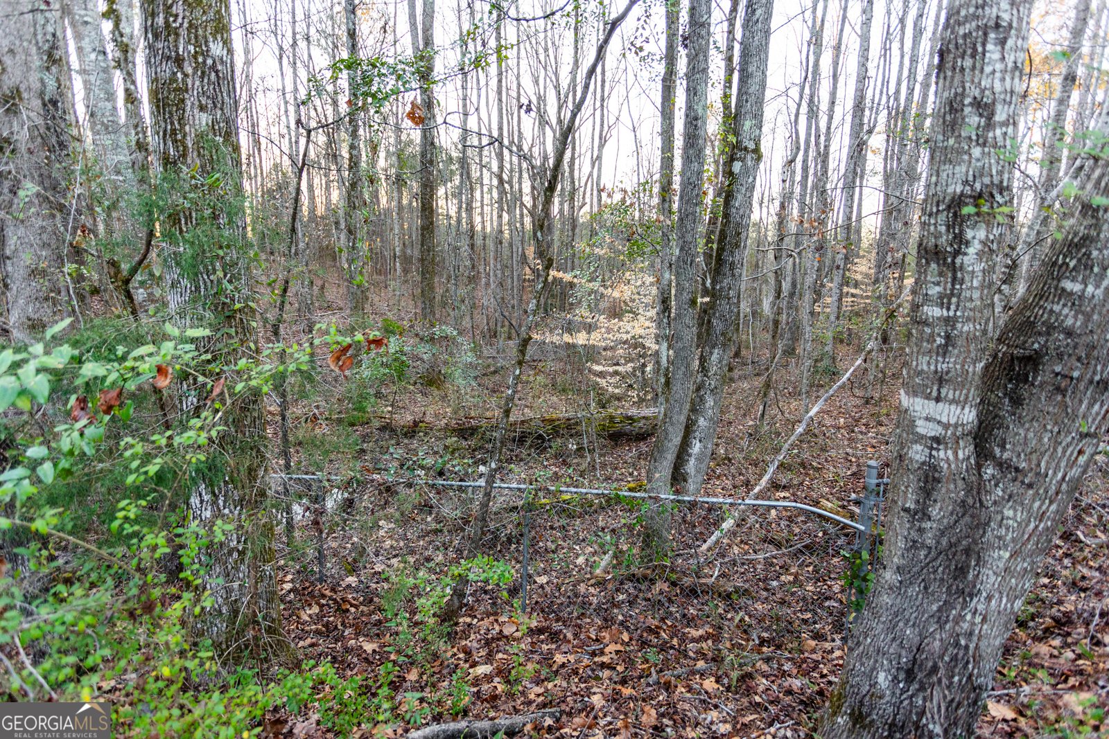 312 Henderson Mill Road Mansfield - 40