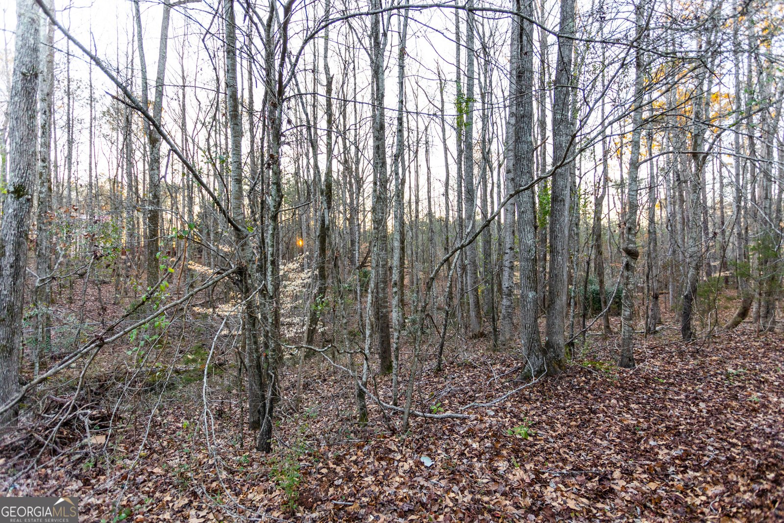 312 Henderson Mill Road Mansfield - 41