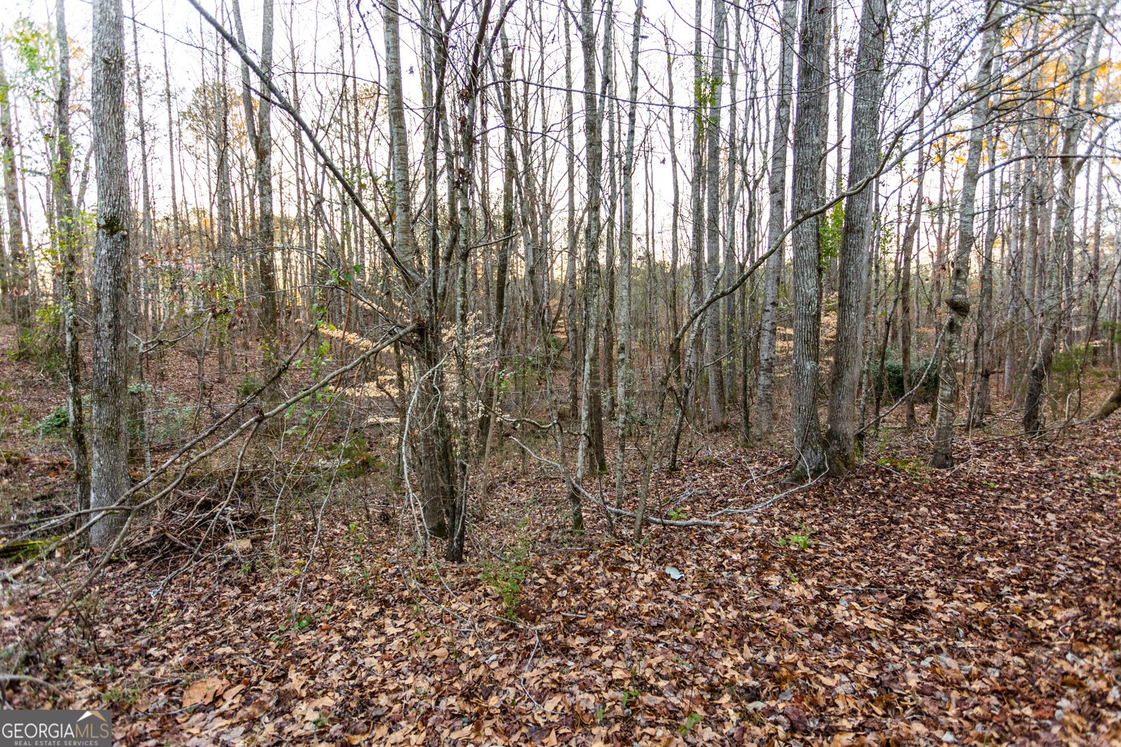 312 Henderson Mill Road Mansfield - 42