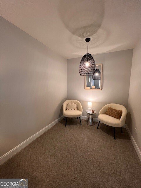 1935 Manor Pointe Drive Cumming - 26