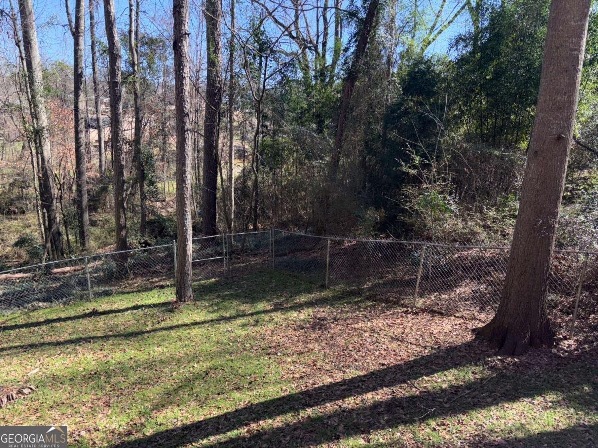 88 Cedar Drive Watkinsville - 11