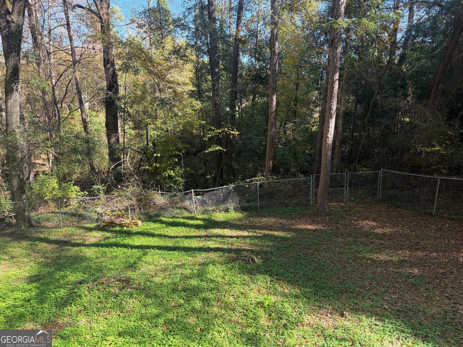 88 Cedar Drive Watkinsville - 16