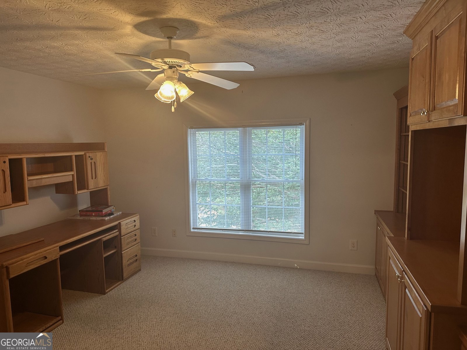 3220 Indian Shoals Road Dacula - 10