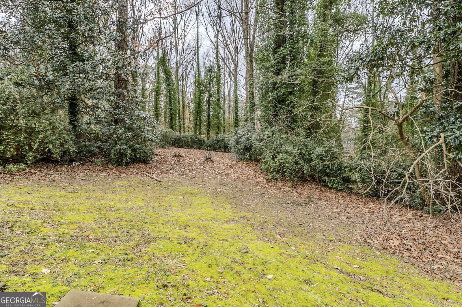 2096 Snow Road Atlanta - 22