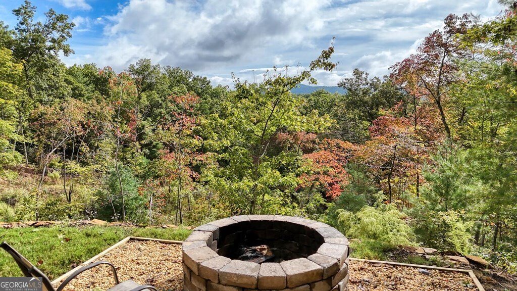 252 Crabapple Lane Mineral Bluff - 45