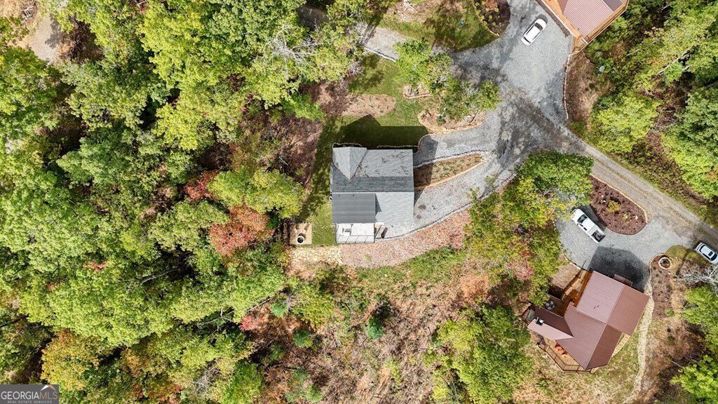 252 Crabapple Lane Mineral Bluff - 46