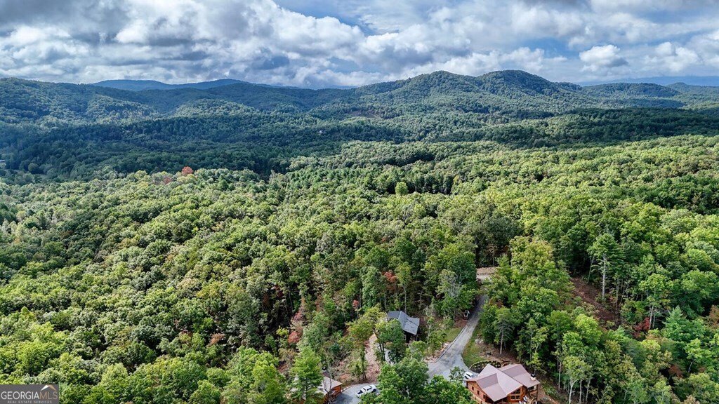 252 Crabapple Lane Mineral Bluff - 47