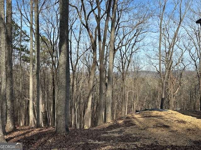 245 Frontier Circle Summerville - 5