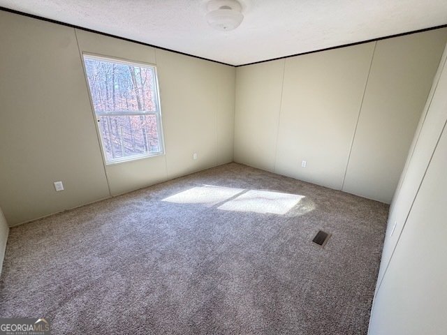 401 Old Cottonwood Mill Road Tunnel Hill - 16