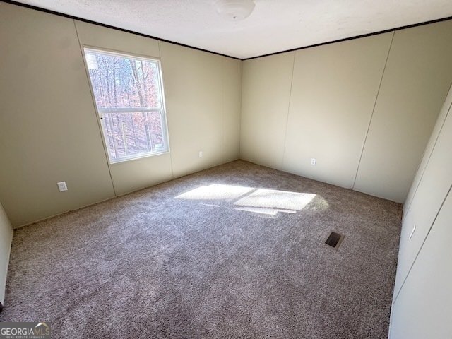 401 Old Cottonwood Mill Road Tunnel Hill - 17