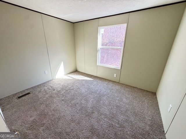 401 Old Cottonwood Mill Road Tunnel Hill - 20
