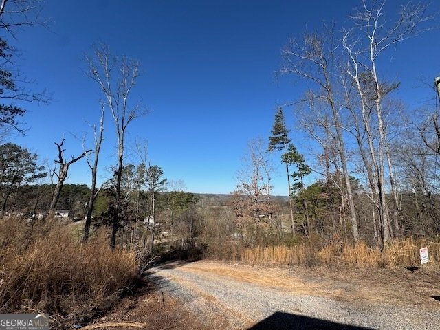 401 Old Cottonwood Mill Road Tunnel Hill - 22