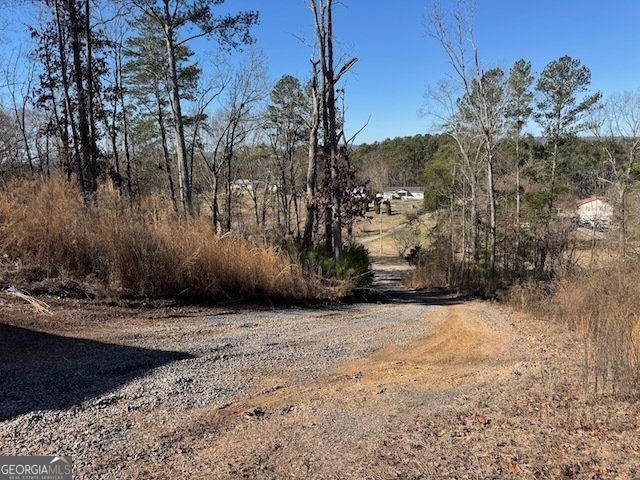 401 Old Cottonwood Mill Road Tunnel Hill - 24