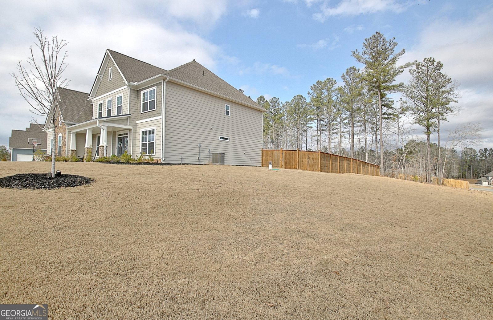 77 Sunflower Drive Newnan - 3