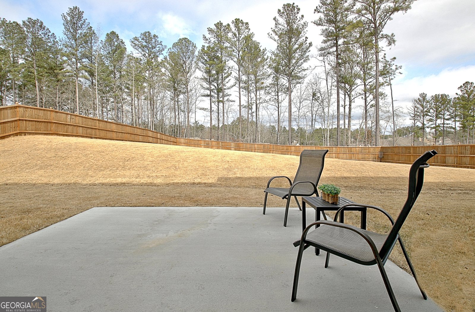 77 Sunflower Drive Newnan - 66