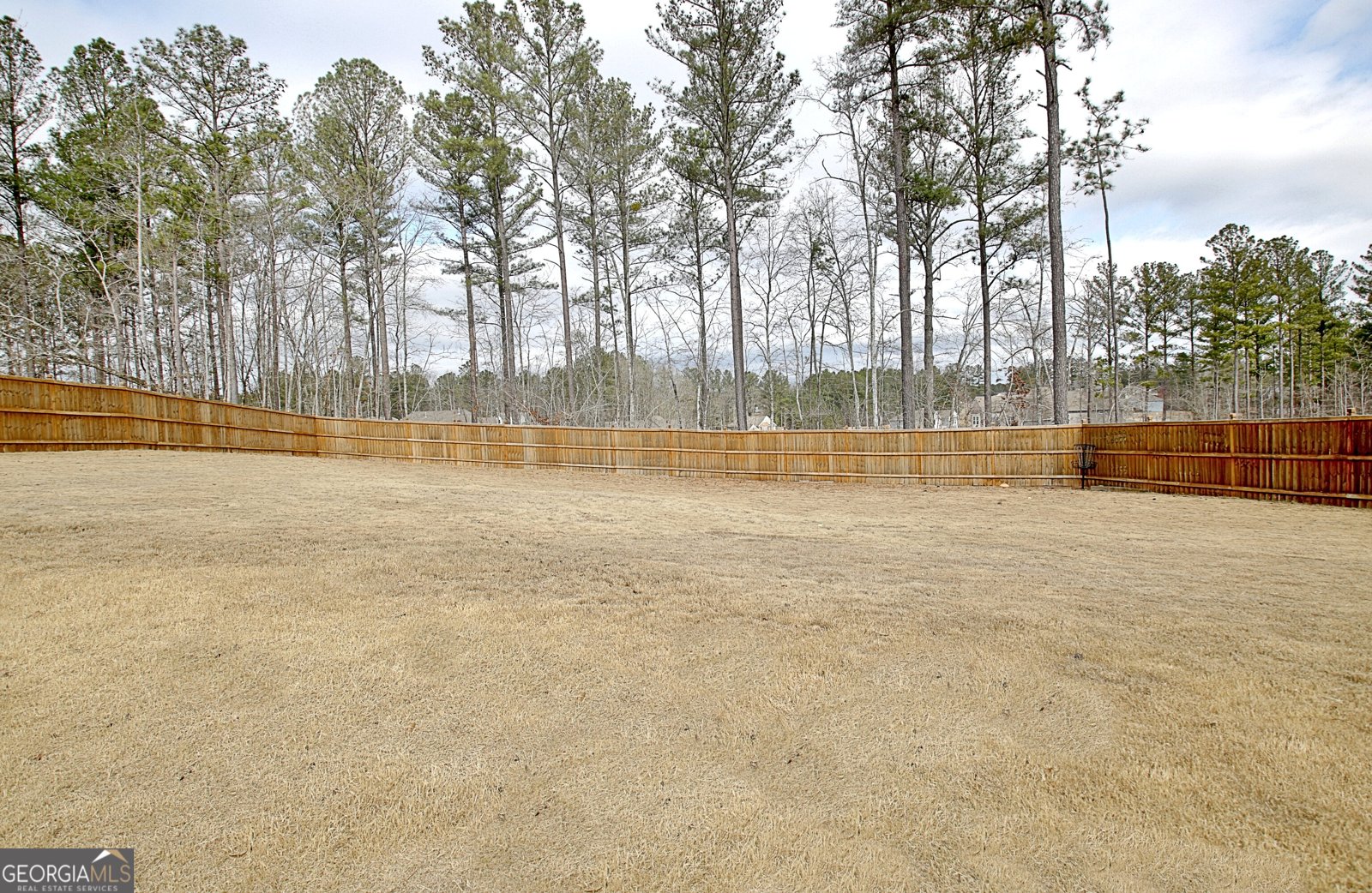 77 Sunflower Drive Newnan - 67