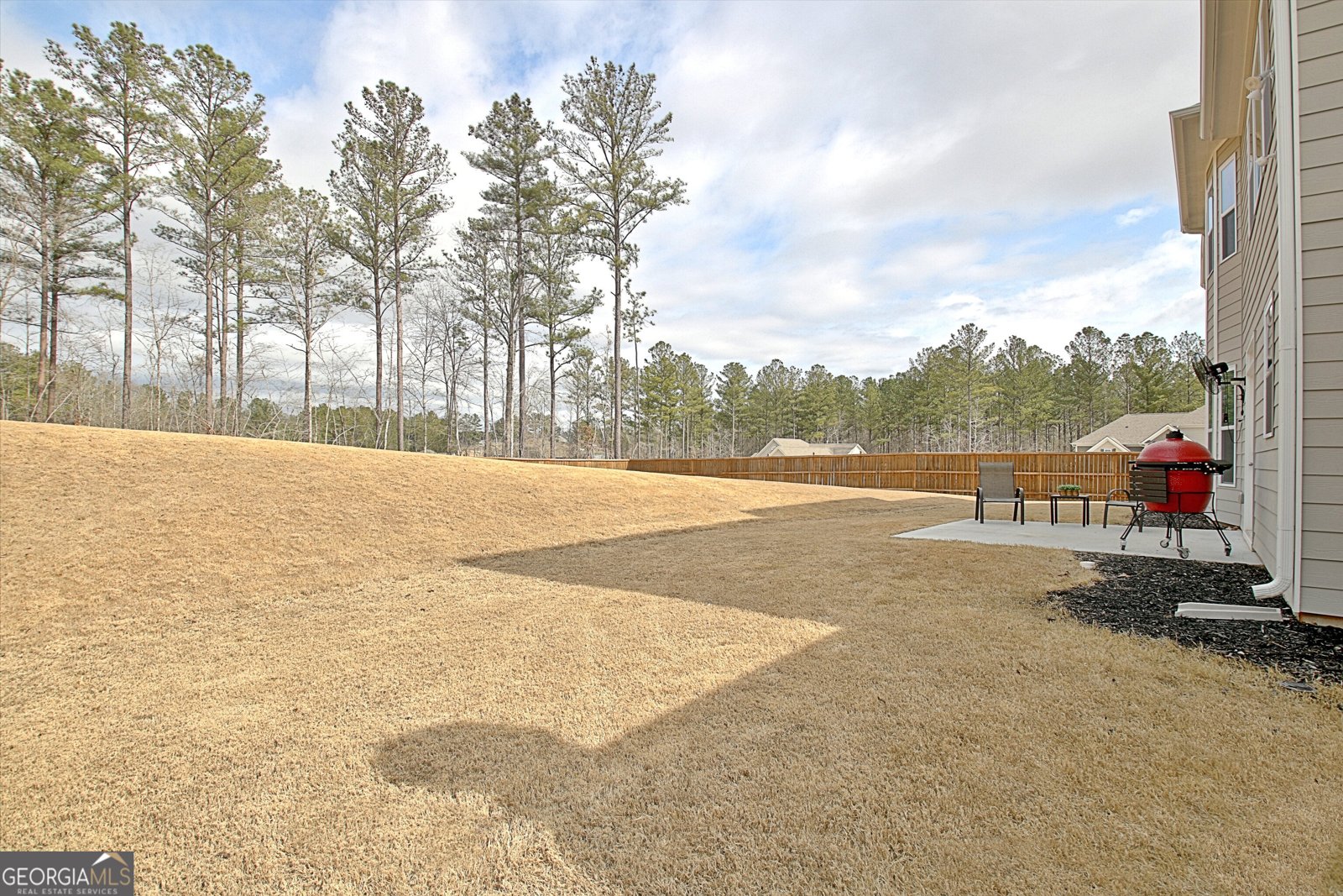 77 Sunflower Drive Newnan - 69
