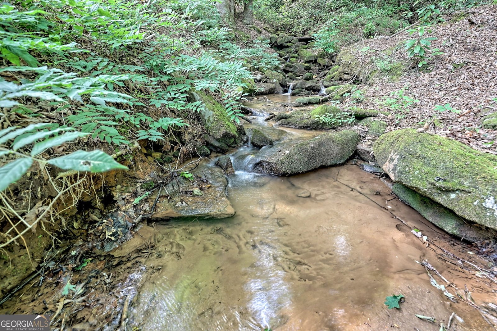 5345 Wolffork Road Rabun Gap - 8