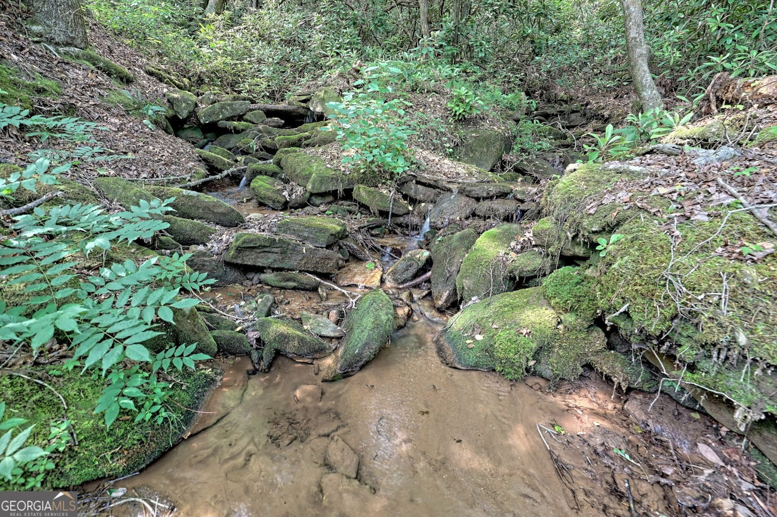 5345 Wolffork Road Rabun Gap - 81