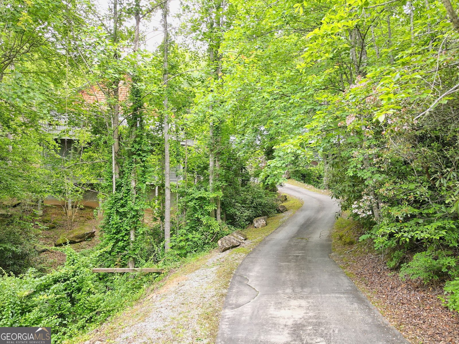 5345 Wolffork Road Rabun Gap - 82