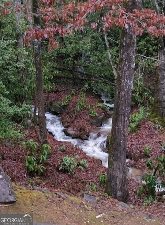 5345 Wolffork Road Rabun Gap - 84