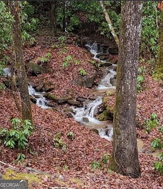 5345 Wolffork Road Rabun Gap - 85