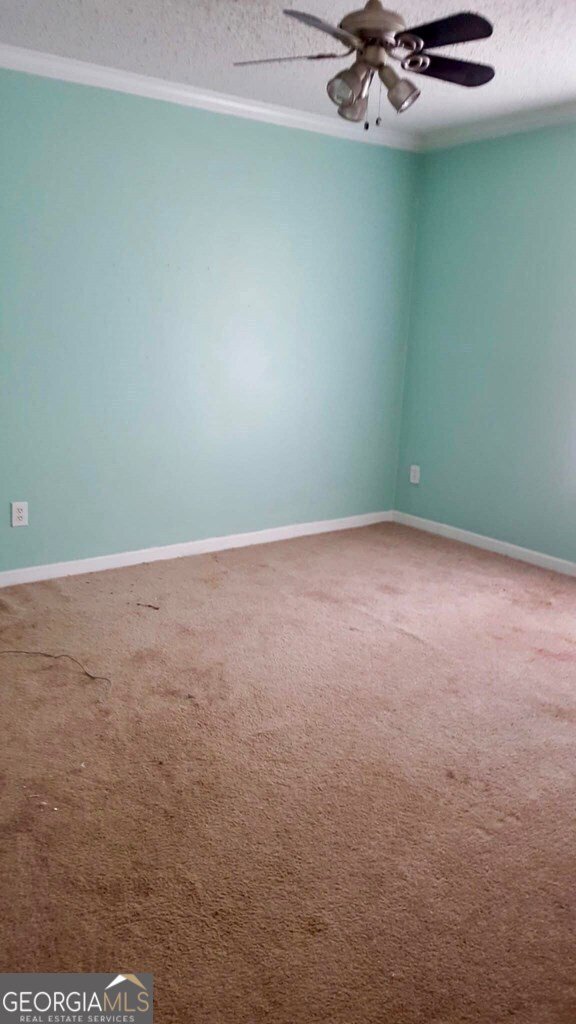 951 Collins Lane Rentz - 23
