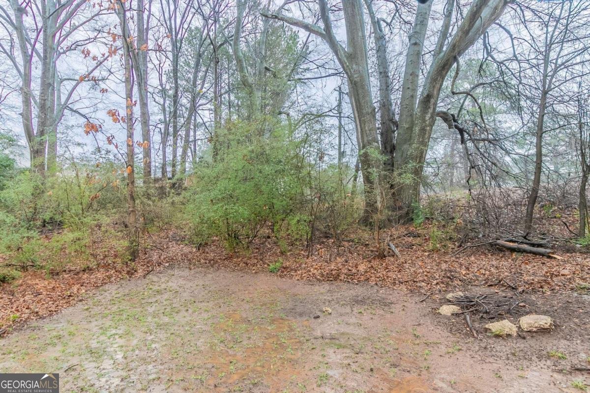 2370 Wingfoot Place Decatur - 17