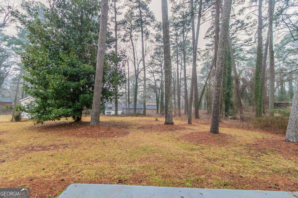 2405 County Line Road Atlanta - 5