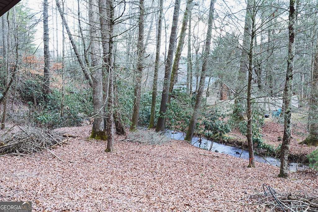 7223 Doublehead Gap Road Blue Ridge - 17