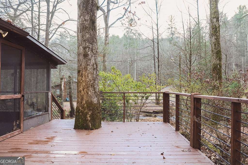 7223 Doublehead Gap Road Blue Ridge - 4
