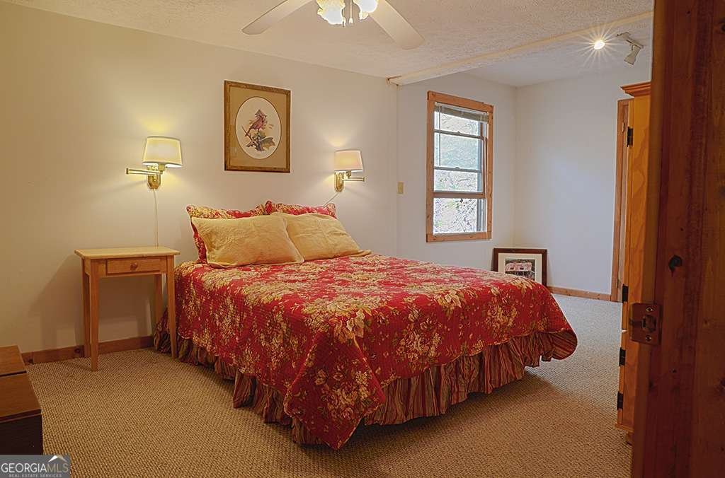 7223 Doublehead Gap Road Blue Ridge - 9